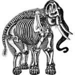 Esqueleto de elefante