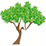 Graphiques vectoriels arbre