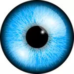 Niebieski oko grafika wektorowa