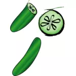 Cucumber vector clip art