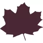 Color maple leaf silhouette vector image