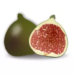 Fig fruit
