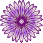 紫のデイジー