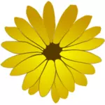 Clipart de fleur de couleur qui fleurit avec beaucoup de pétales