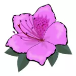 Rosa blomma clip art grafik
