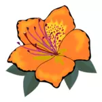 Orange Blume mit Blättern