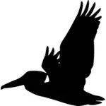 Flying pelican silhouette vector graphics