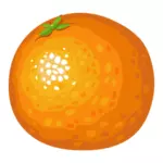 Fruits orange