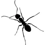 Ant with long legs silhouette vector graohics