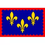 Берри региона флаг-векторное изображение