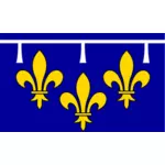 Флаг региона orléanais Векторный рисунок