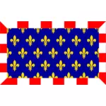 Grafika wektorowa flaga regionu Touraine