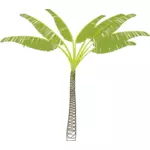 Vektorikuva trooppisesta palmupuusta