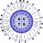 Immagine di vettore del codice genetico