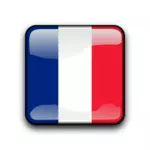 ' דגל ' גיאנה הצרפתית