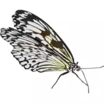 De desen vector pe jos fluture