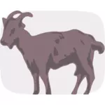 Image vectorielle de chèvre