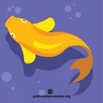 Золотая рыбка вид сверху