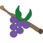 Violetti viinirypäleiden vektori piirustus