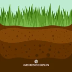 Trawa i gleby