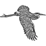 Gambar besar blue heron