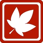 Red leaf vector image