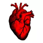 Rött hjärta vektor symbol