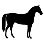 Illustration vectorielle de cheval silhouette