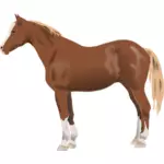 Ilustrasi vektor kuda berdiri