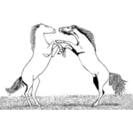 Stallions fighting vector graphics