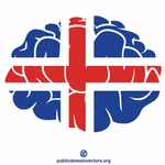 Island flagga hjärnan silhuett