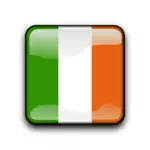 Irland Flagge button