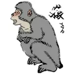 Japanske Macaque