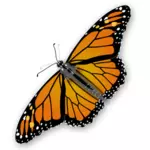 Spotty butterfly vector graphics