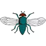 वेक्टर ब्लूबोटल मक्खी का चित्रण