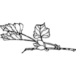 Laub- und floral Zweig