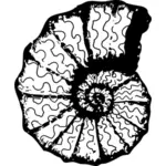 Vector de la imagen monocromática de una concha de mar.