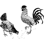 Gallo e gallina grafica