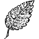 Слеза формы листьев векторное изображение