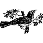Vector drawing of a mockingbird on a tree branch