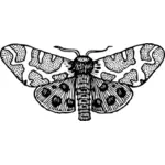 Imagem de mariposa