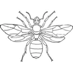 Vector graphics of queen ant