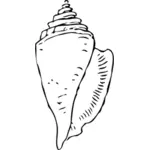 Vector drawing of simple black and white seashell