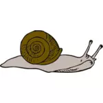 Vector Illustrasjon av snegl