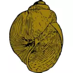 矢量图像的蜗牛的壳