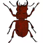 Grafică vectorială Cerbul Beetle