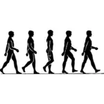 人間の歩行のステップのベクトル画像