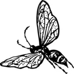 Ilustración vectorial de avispa