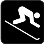 Pictogram for skiing vector image