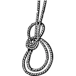Bowline on the bight marine knot vector drawing